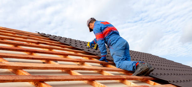 Best Storm Damage Roof Repair  in Madison, MN